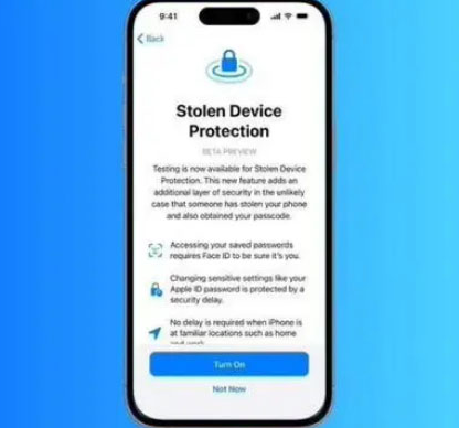 云浮苹果授权维修店分享被盗设备保护功能开启方法 