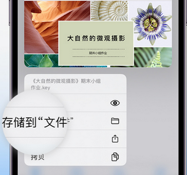 云浮apple维修中心分享iPhone文件应用中存储和找到下载文件