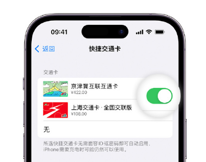 云浮apple维修点分享iPhone上更换Apple Pay快捷交通卡手绘卡面 