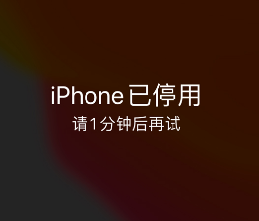 云浮苹果手机维修分享:iPhone 显示“不可用”或“已停用”怎么办？还能保留数据吗？ 