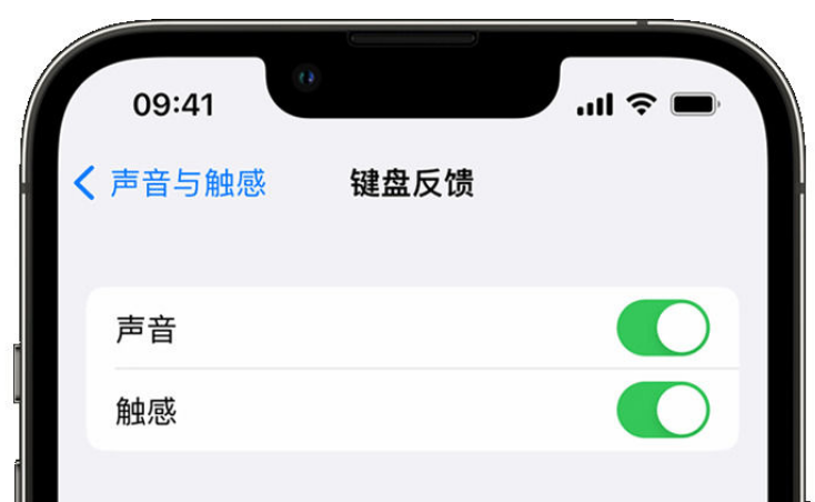 云浮苹果手机维修分享iPhone 14触感键盘使用方法 