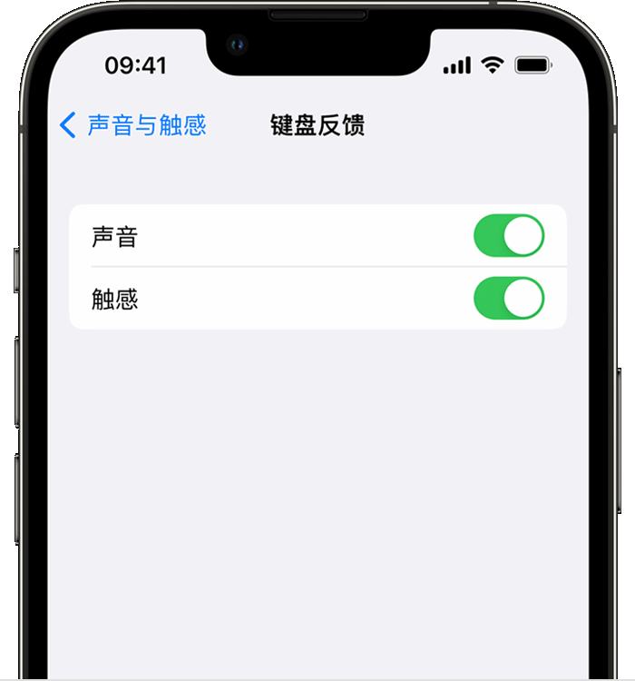 云浮苹果14维修店分享如何在 iPhone 14 机型中使用触感键盘 