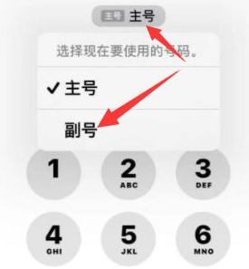 云浮苹果14维修店分享iPhone 14 Pro Max使用副卡打电话的方法 