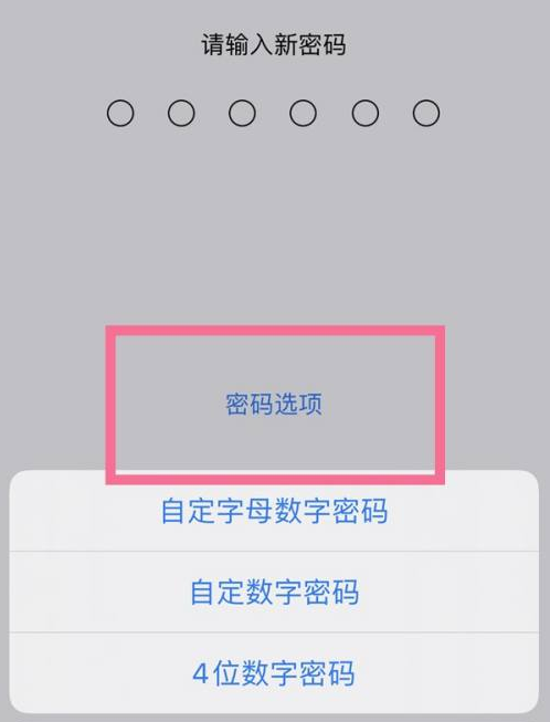 云浮苹果14维修分享iPhone 14plus设置密码的方法 