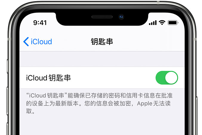 云浮苹果手机维修分享在 iPhone 上开启 iCloud 钥匙串之后会储存哪些信息 