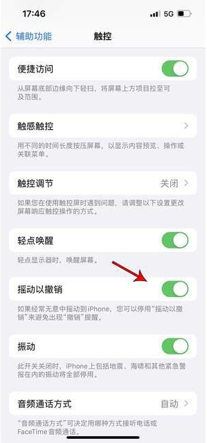 云浮苹果手机维修分享iPhone手机如何设置摇一摇删除文字 